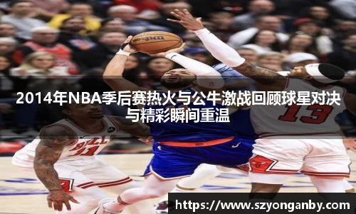 2014年NBA季后赛热火与公牛激战回顾球星对决与精彩瞬间重温